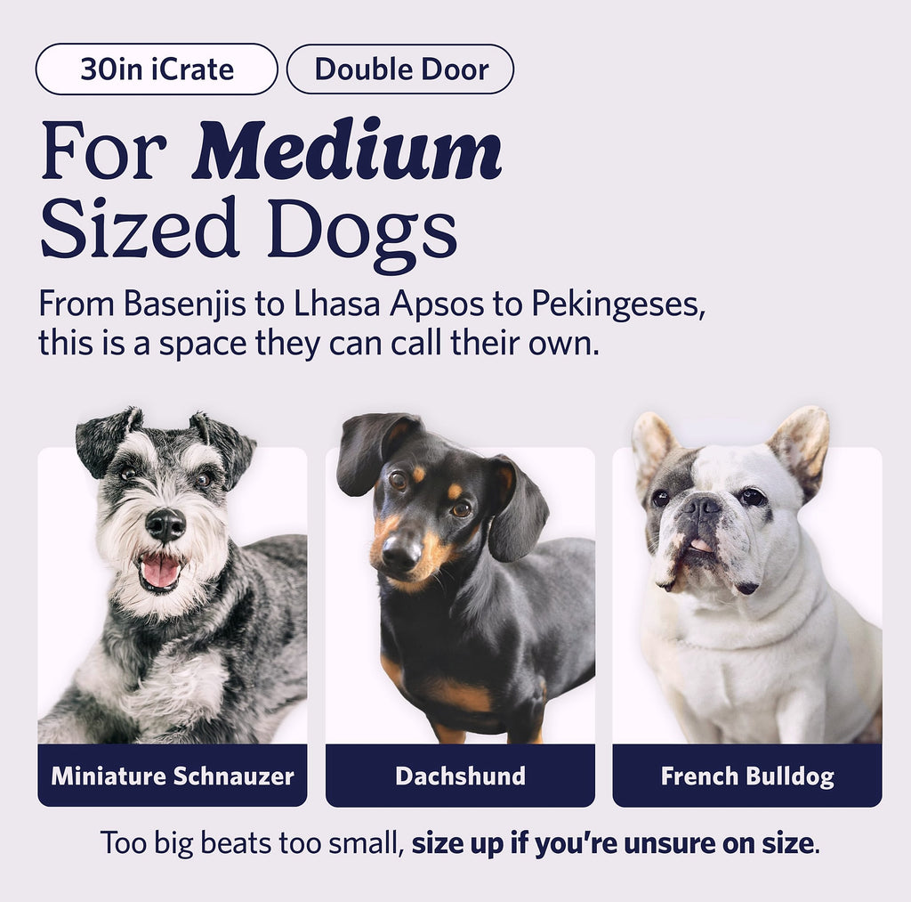 MidWest Homes for Pets 30-Inch iCrate Dog Crate for Medium Breeds