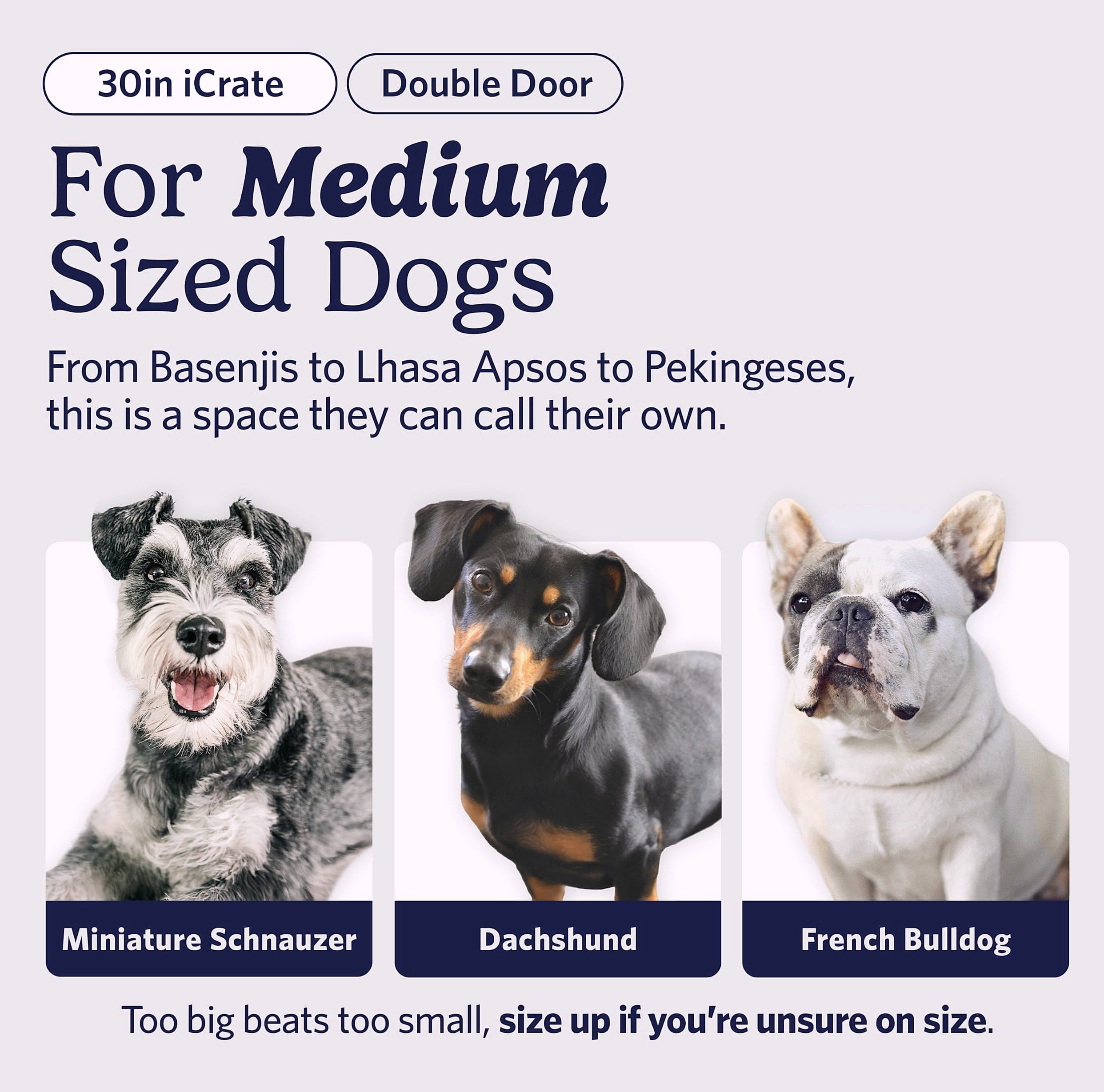 MidWest Homes for Pets 30-Inch iCrate Dog Crate for Medium Breeds