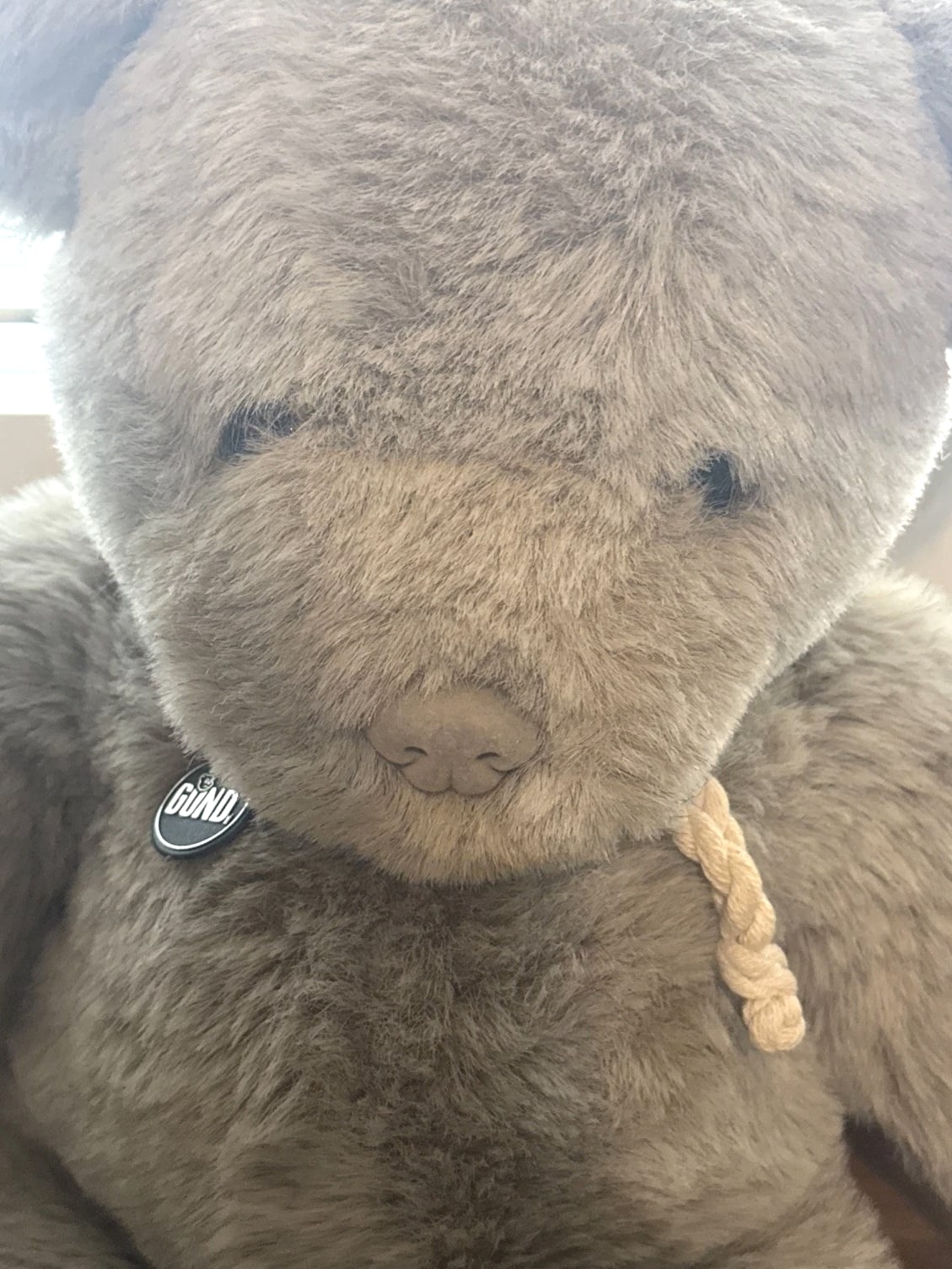 Rare Gund Collectors Classic 1979 Plush Teddy Bear w/ Gund Tag Stuffed Animal