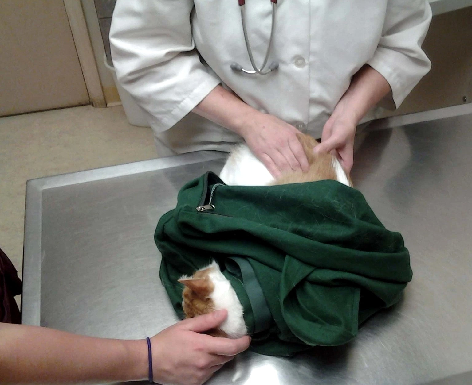 Cat-in-the-bag Cozy Comfort Carrier