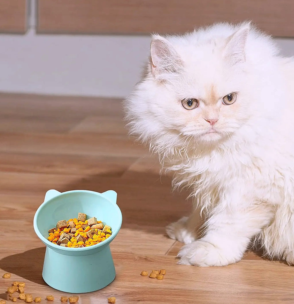 Tilted Cat Bowl Anti-Vomit Shallow Design Whisker Friendly