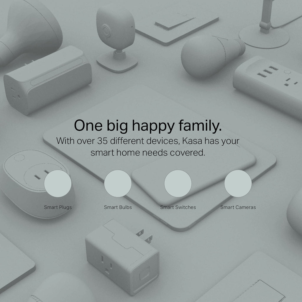 Kasa Smart KP200 In-Wall Wi-Fi Outlet with Voice Control