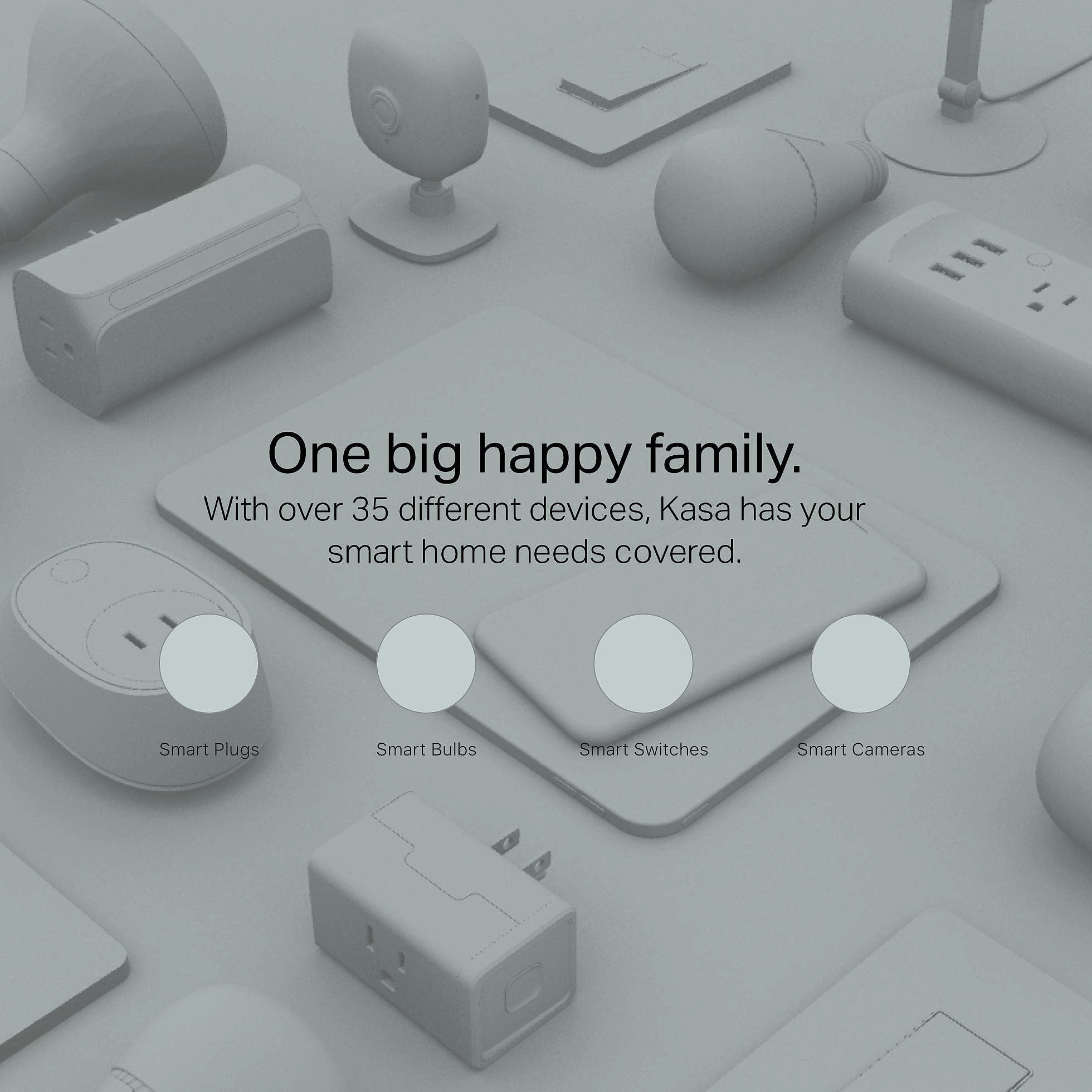 Kasa Smart KP200 In-Wall Wi-Fi Outlet with Voice Control