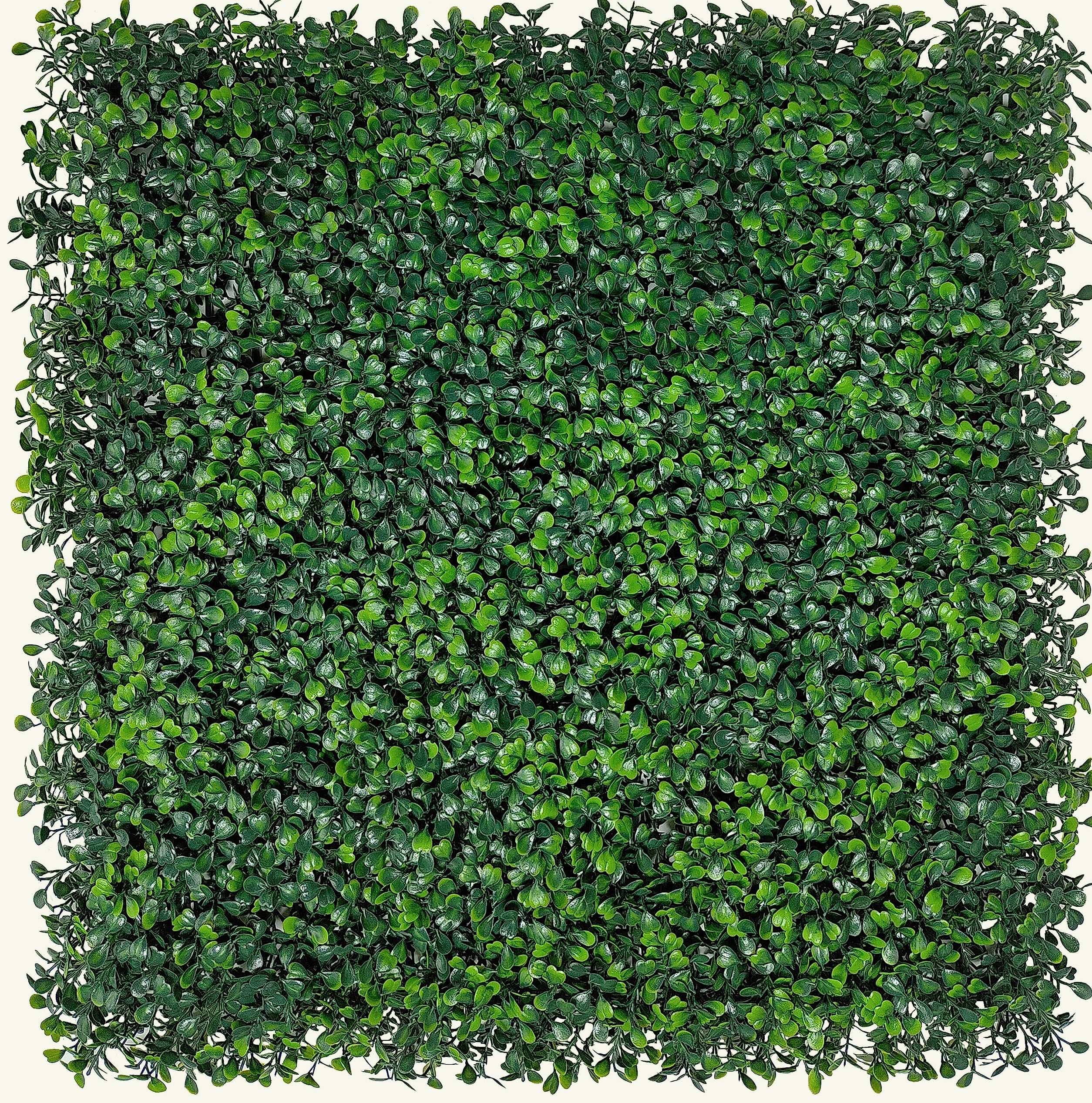 ODTORY Artificial Boxwood Panels 20x20 in, 12 Pack Green Wall