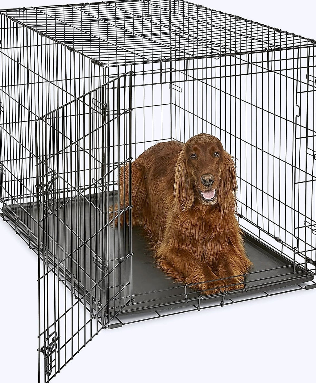 New World 42-Inch Dog Crate for Large Breeds, 71-90 lbs