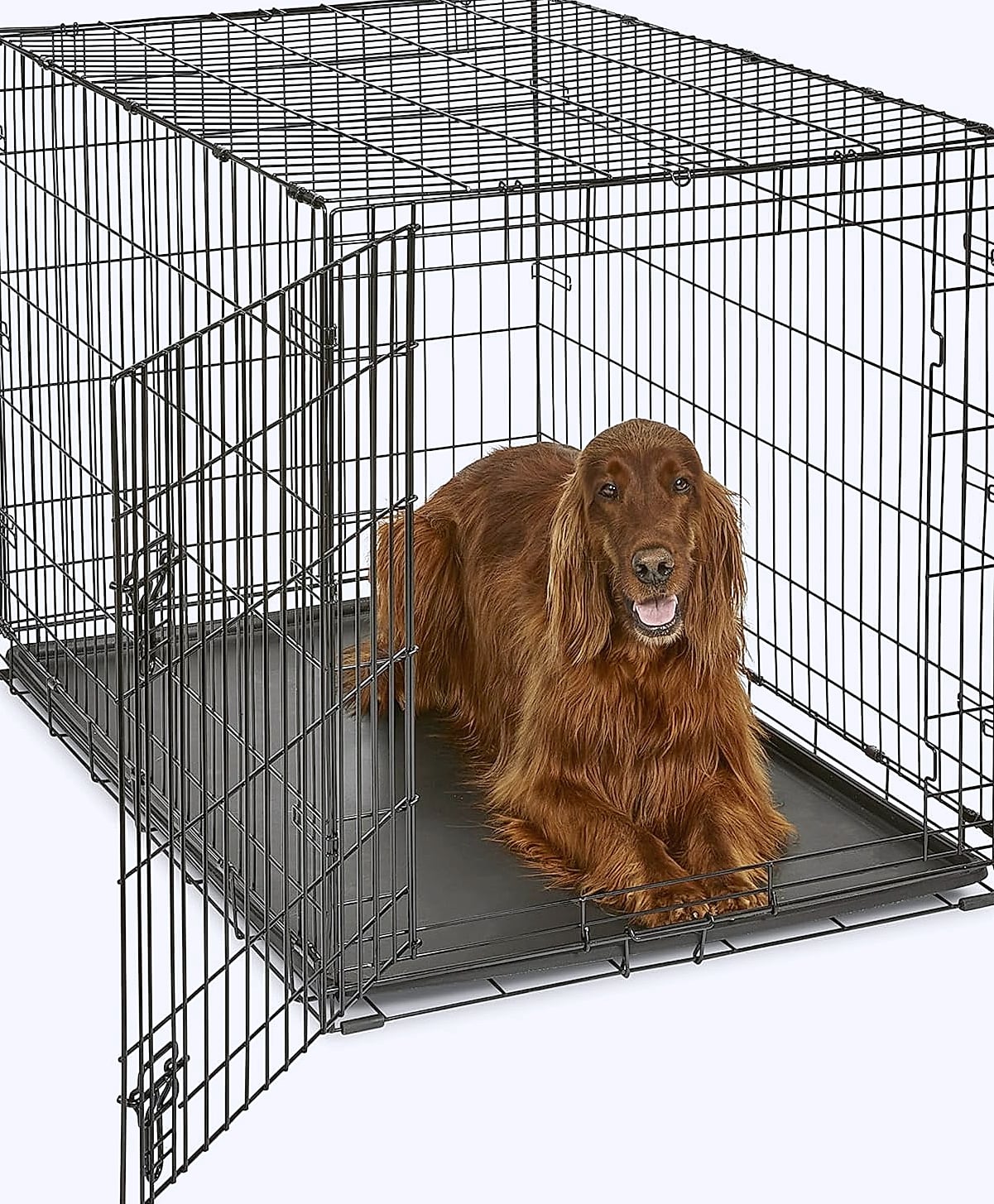 New World 42-Inch Dog Crate for Large Breeds, 71-90 lbs