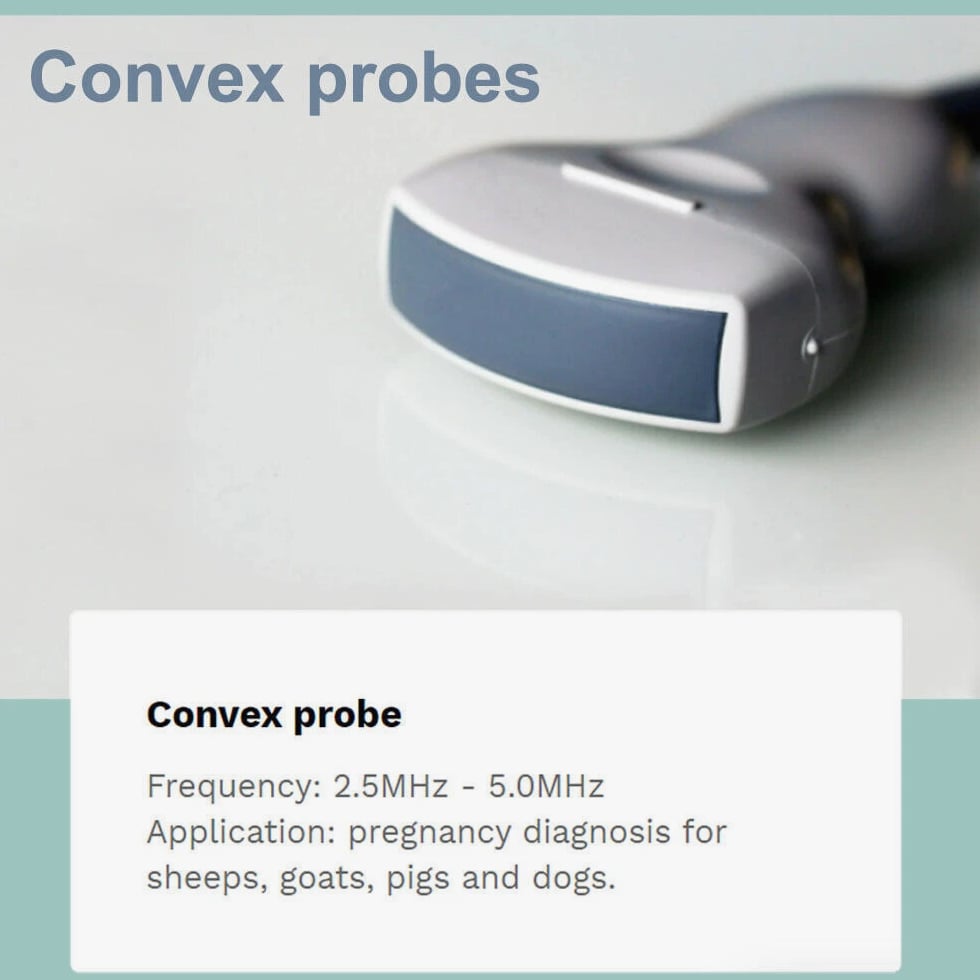 DAWEI Professional Veterinary Ultrasound Machine - Rectal Probe, Convex Probe