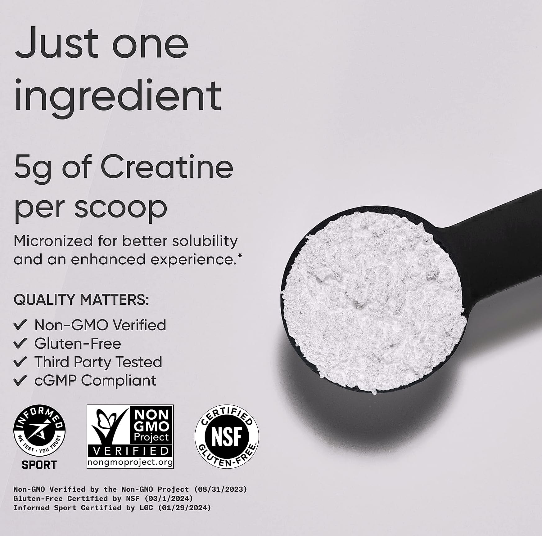 Sports Research Creatine Monohydrate 5g Powder for Strength