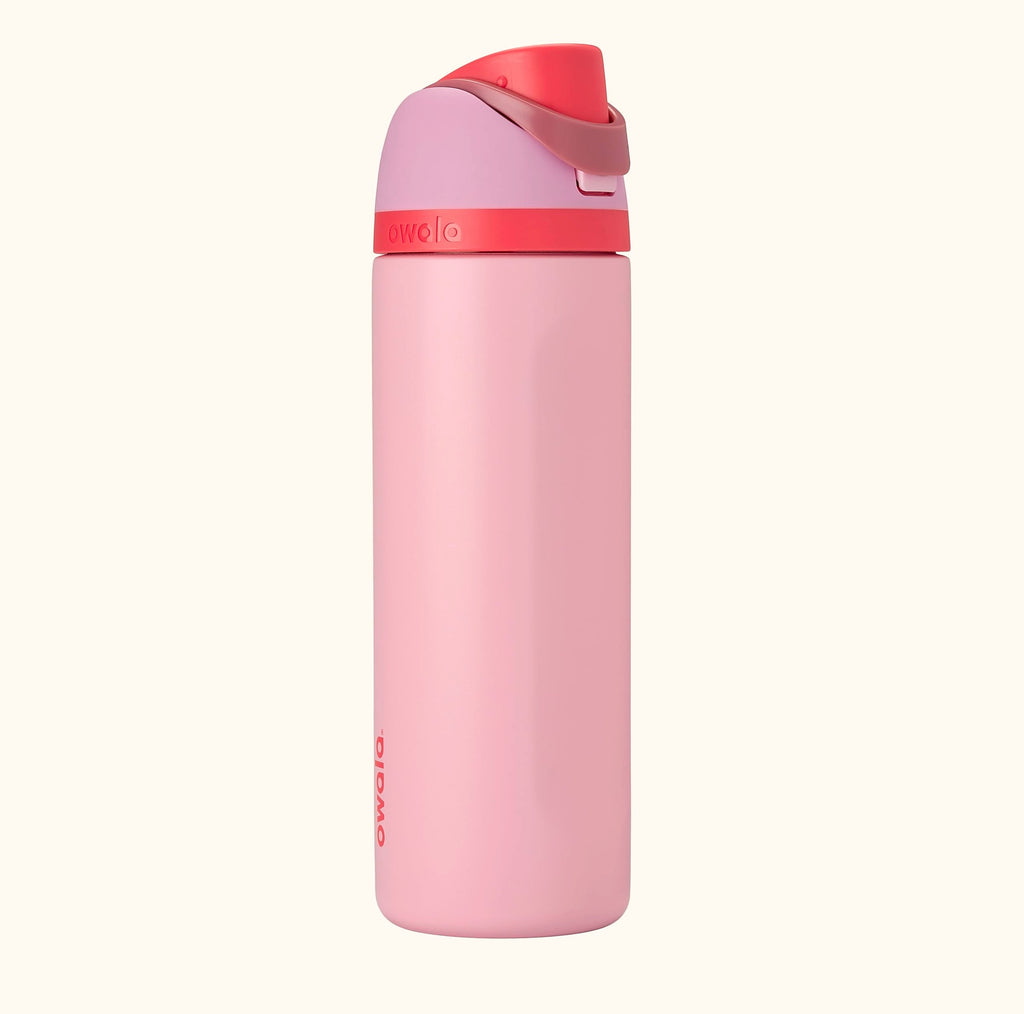 Owala FreeSip 24 Oz Insulated Stainless Steel Water Bottle