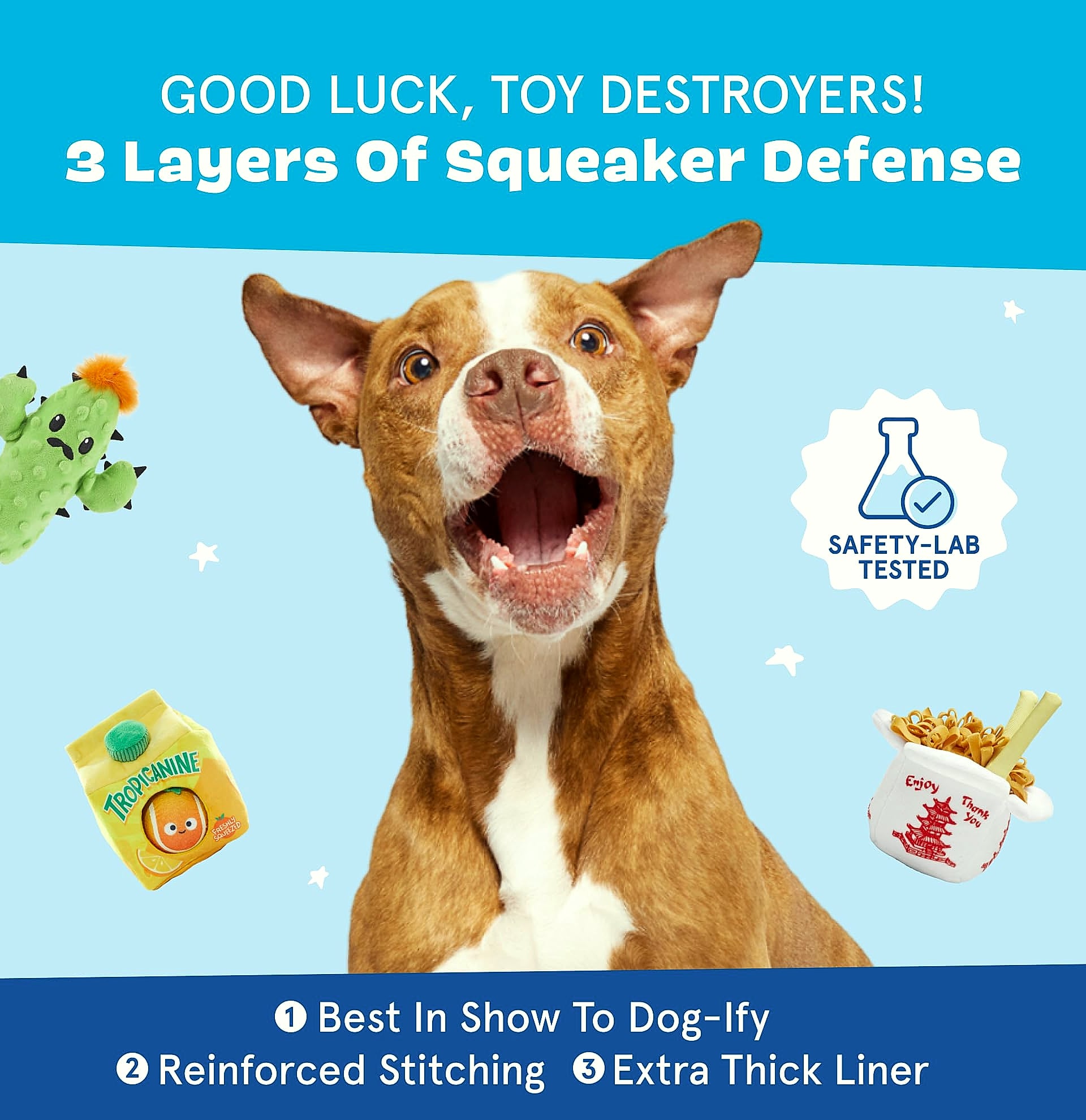 Barkbox Consuela the Cactus 2-in-1 Plush Dog Toy with Squeaker
