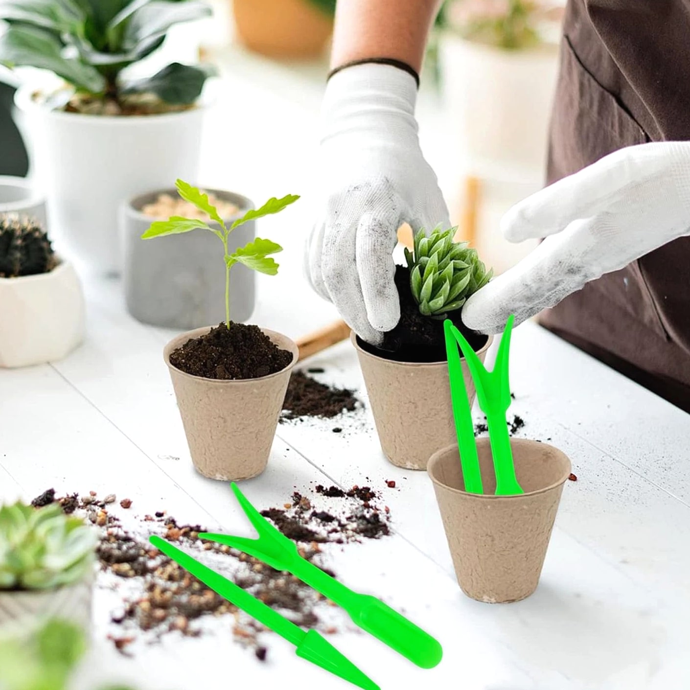6PCS Mini Garden Hand Succulent Transplanting Tools Set, Plastic Seedling Dibber