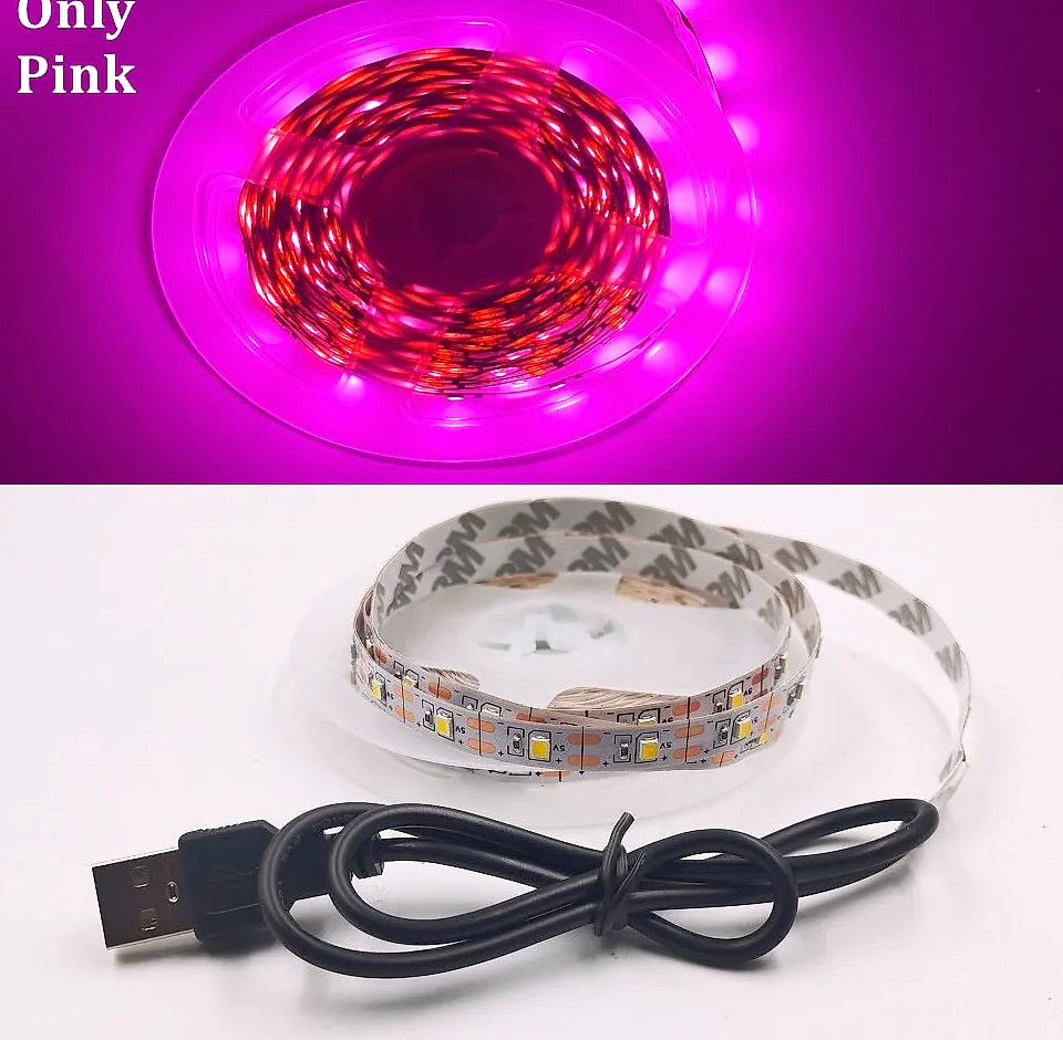 WIXOLighting 5M USB LED Strip Light 5V 3528 SMD