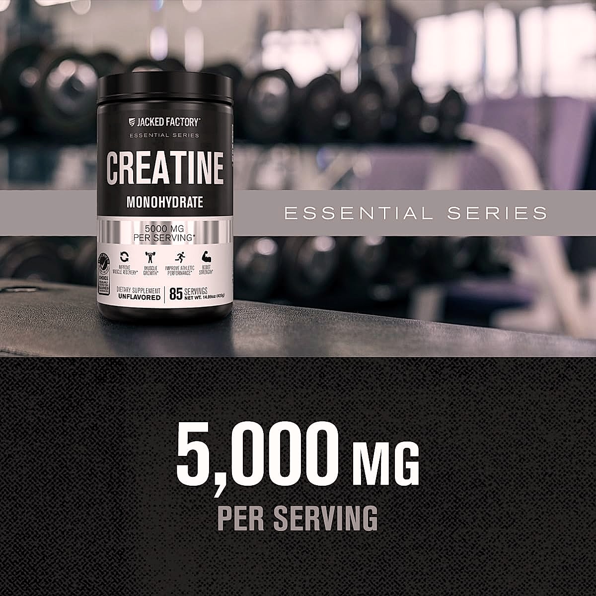 Jacked Factory Creatine Monohydrate Powder 425g Supplement