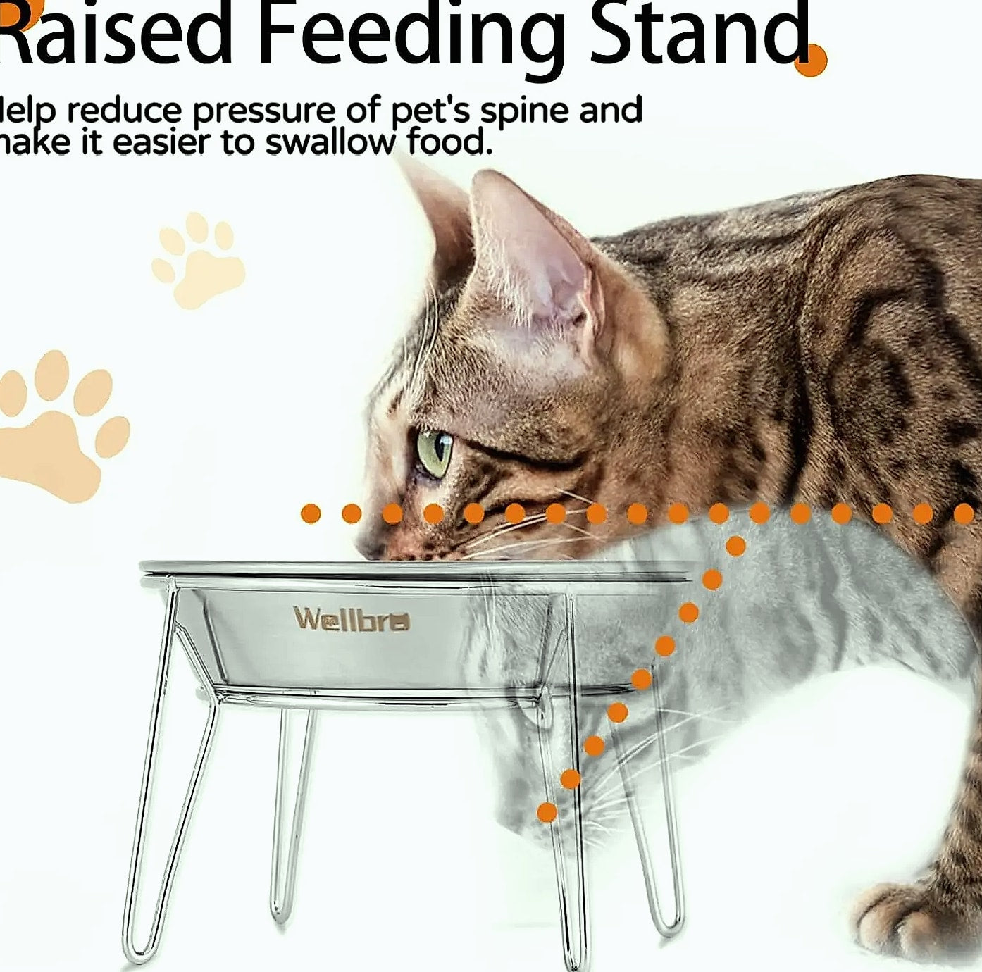 4-Pack Stainless Steel Raised Pet Bowls for Cats