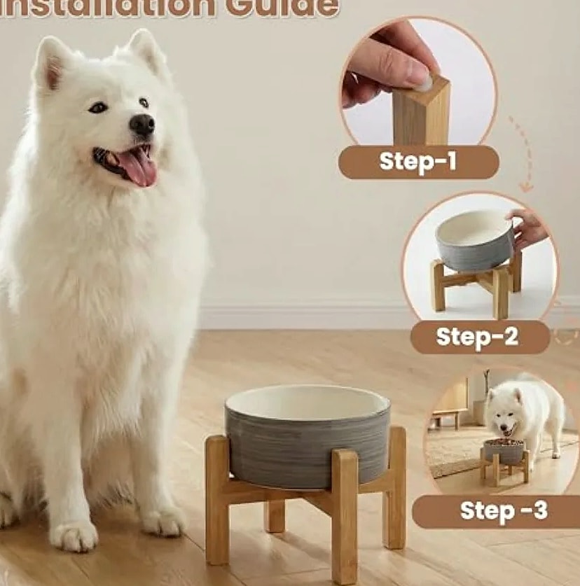 Elevated Ceramic Dog Bowl with Bamboo Stand