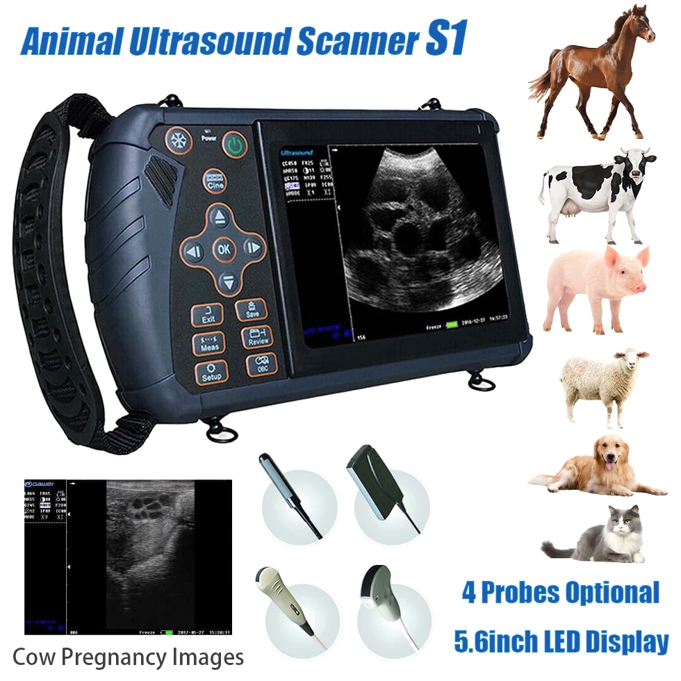 DAWEI Professional Veterinary Ultrasound Machine - Rectal Probe, Convex Probe