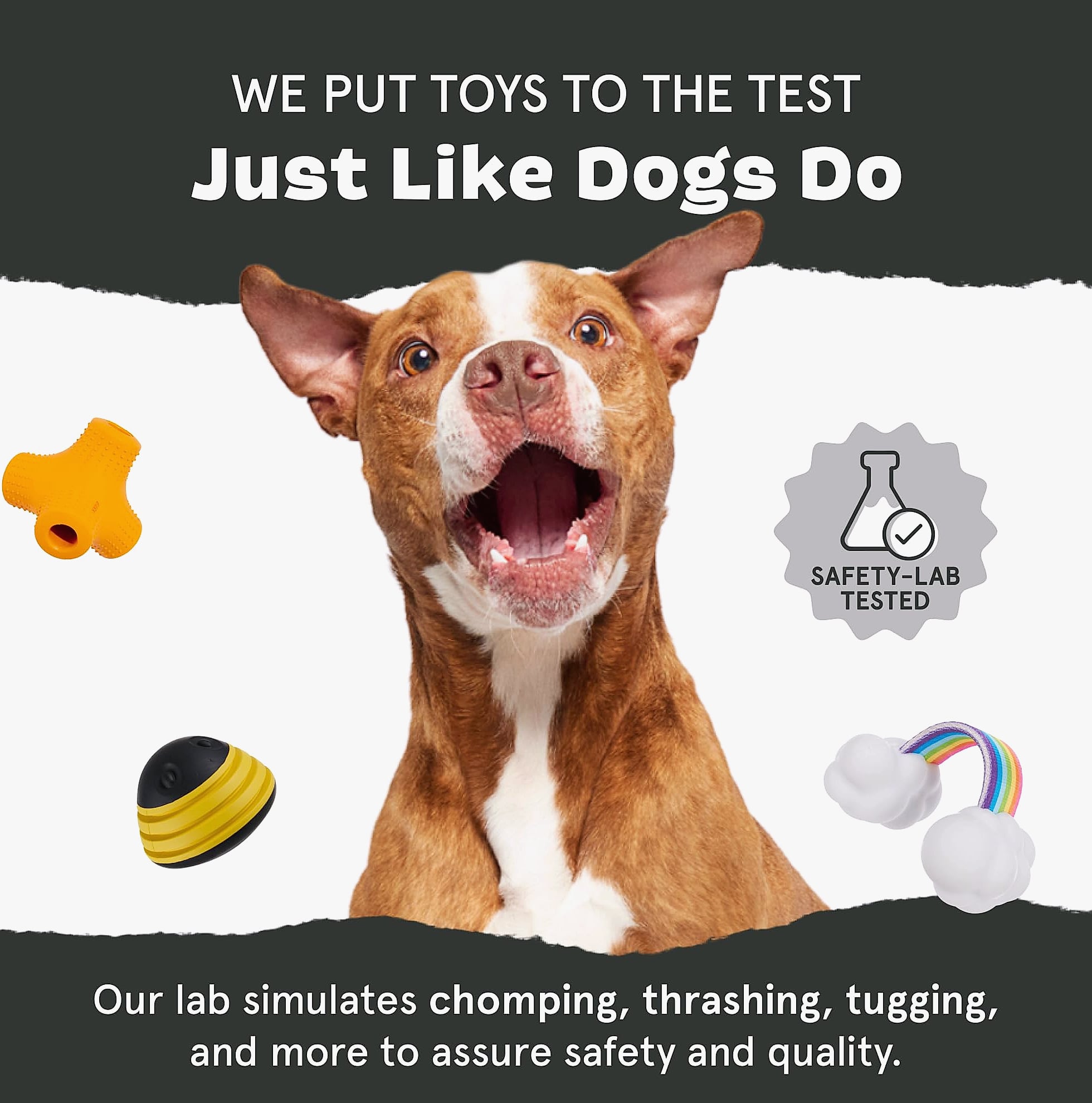 Barkbox Dogness Monster Large Dog Chew Toy for Aggressive Chewers