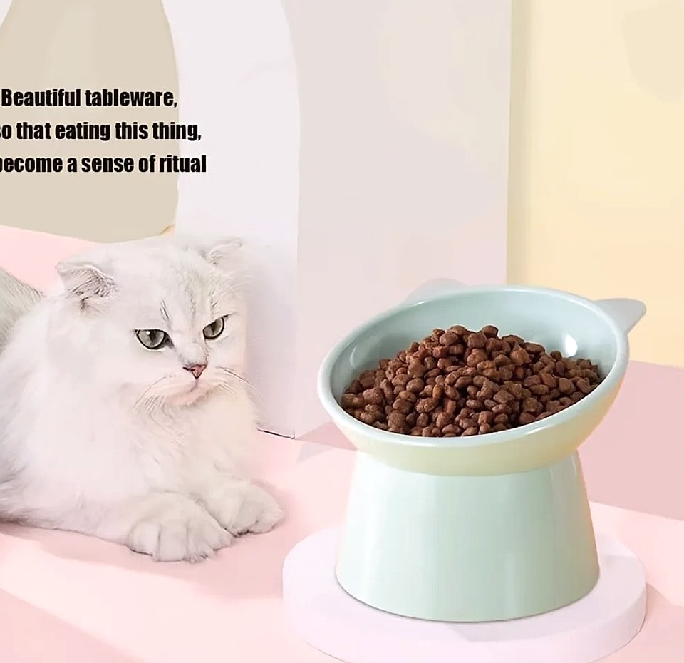 Novelty Moon Cat Ear Raised Pet Bowl Elevated Feeder