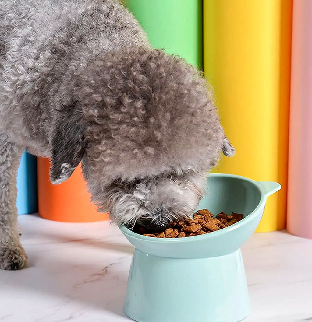 Tilted Cat Bowl Anti-Vomit Shallow Design Whisker Friendly