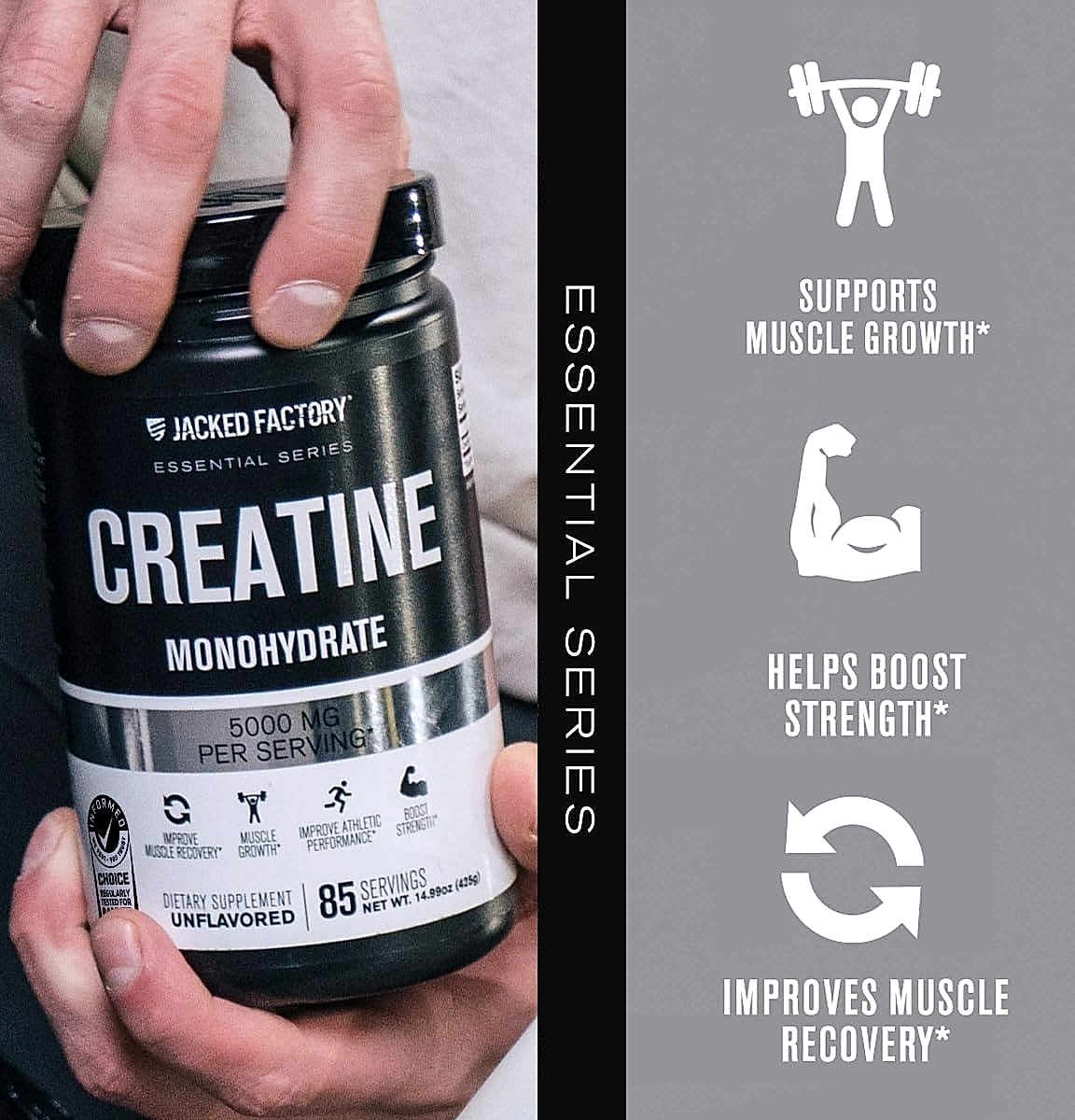 Jacked Factory Creatine Monohydrate Powder 425g Supplement
