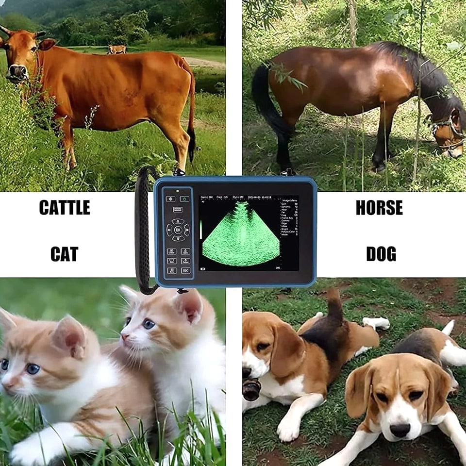 DAWEI Handheld Vet Ultrasound Machine Scanner 6.5MHZ Rectal Probe