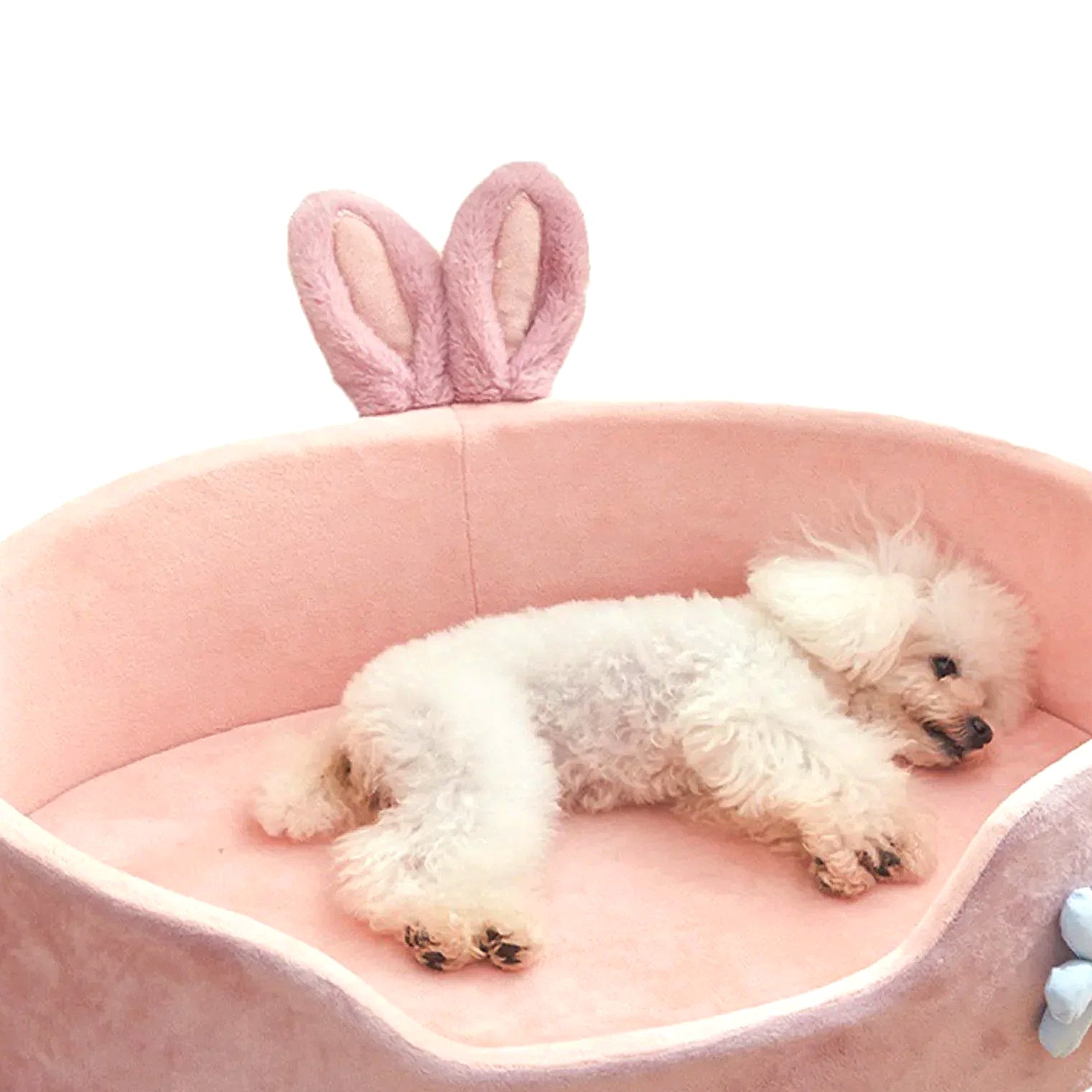 Soft Detachable Pet Bed for Dogs and Cats, Washable