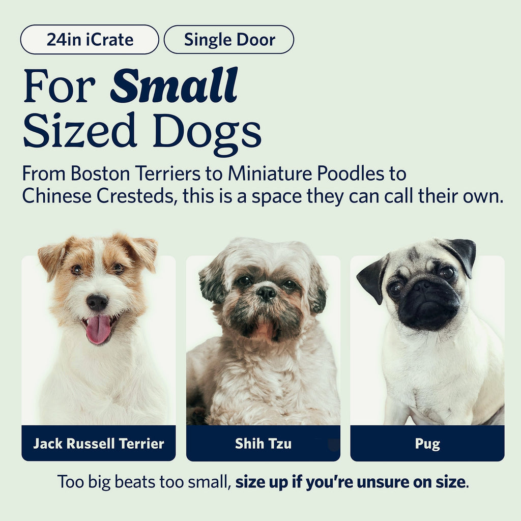 MidWest Homes for Pets 24-Inch Pink iCrate for Small Dogs