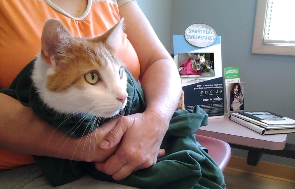 Cat-in-the-bag Cozy Comfort Carrier