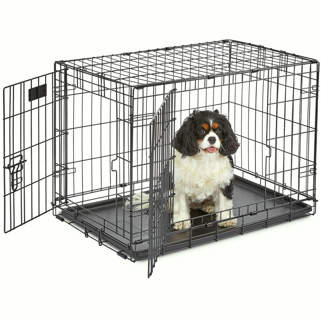 MidWest Homes for Pets 30-Inch iCrate Dog Crate for Medium Breeds