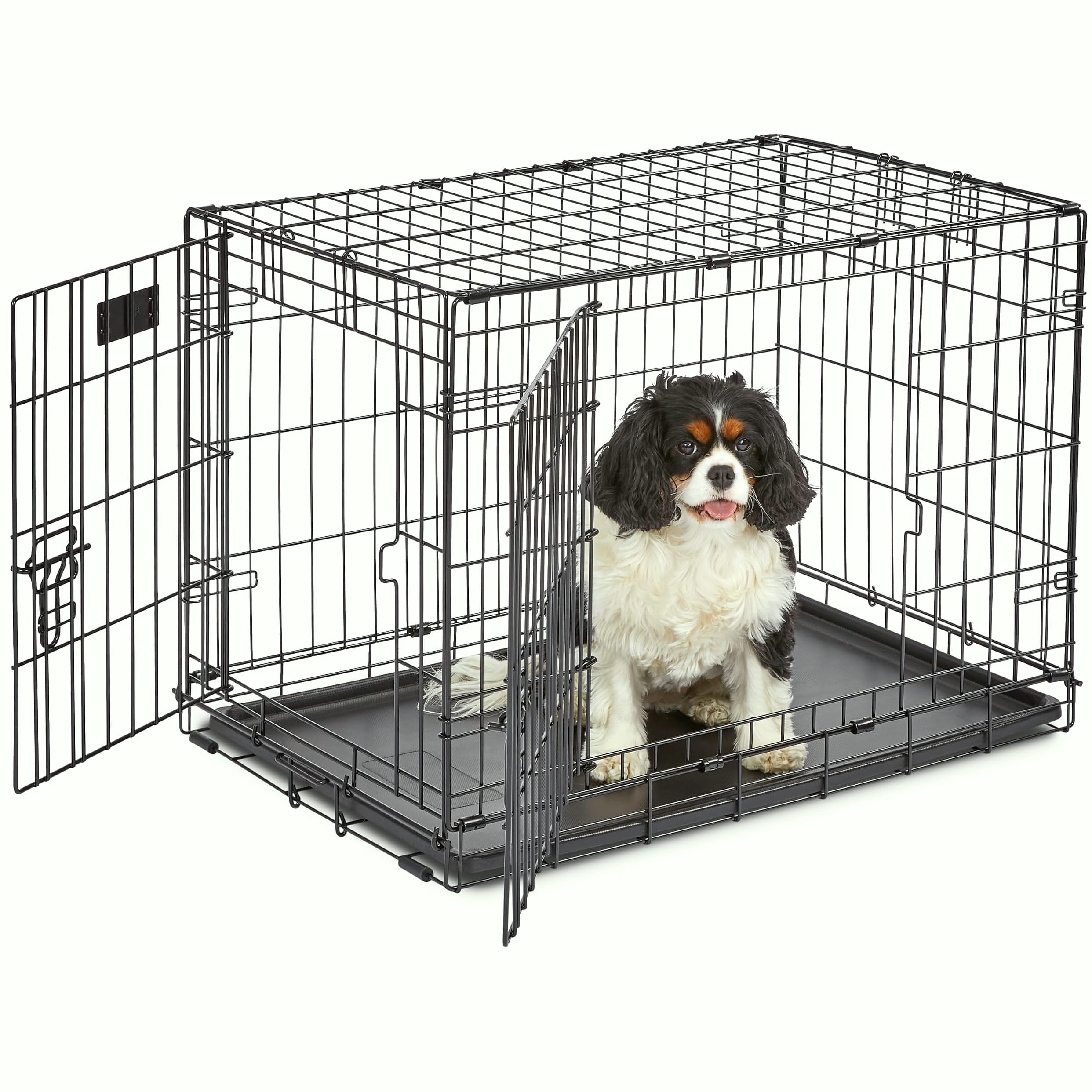 MidWest Homes for Pets 30-Inch iCrate Dog Crate for Medium Breeds