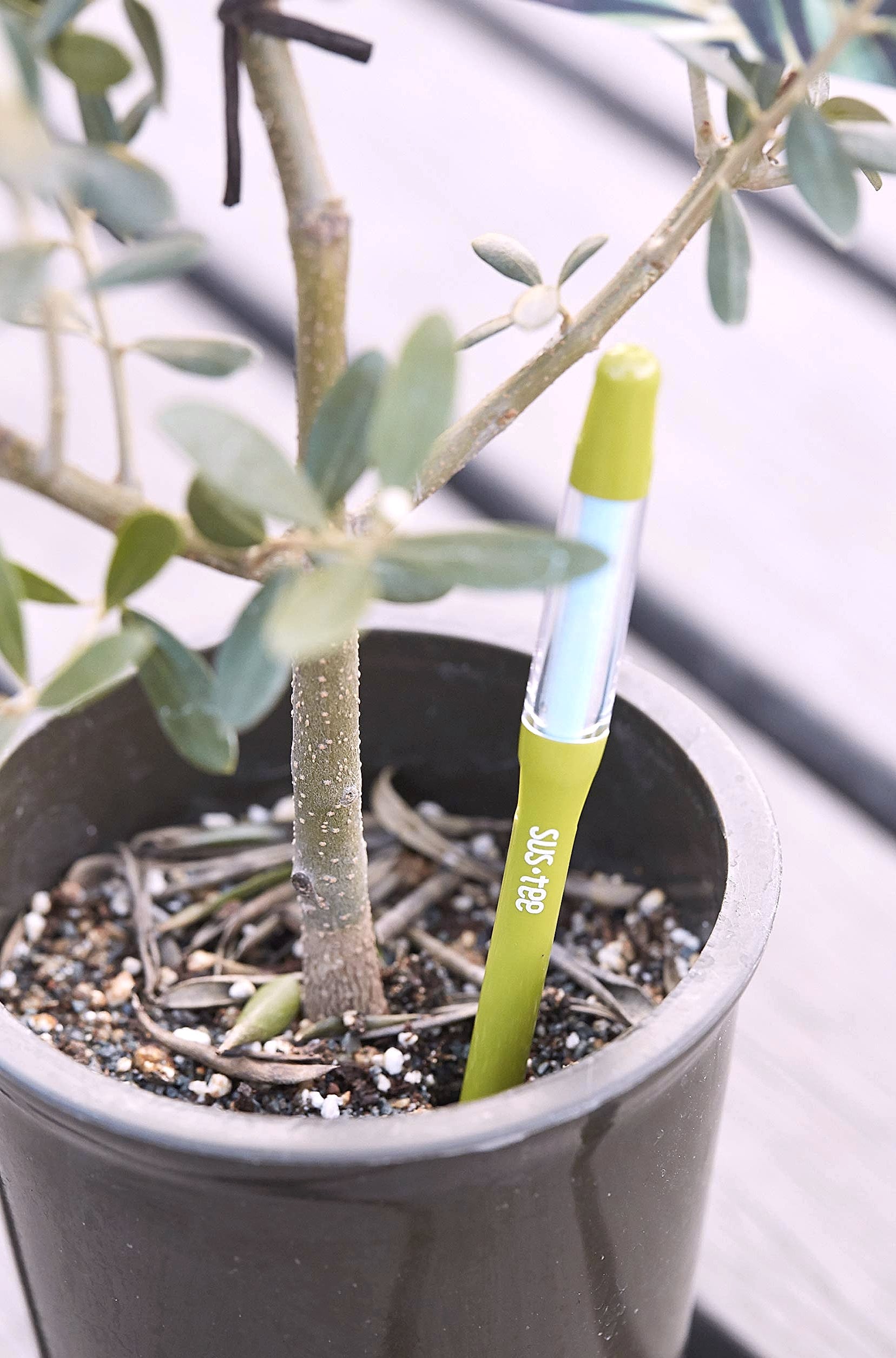 Sustee Aquameter Small Plant Moisture Sensor Set of 5