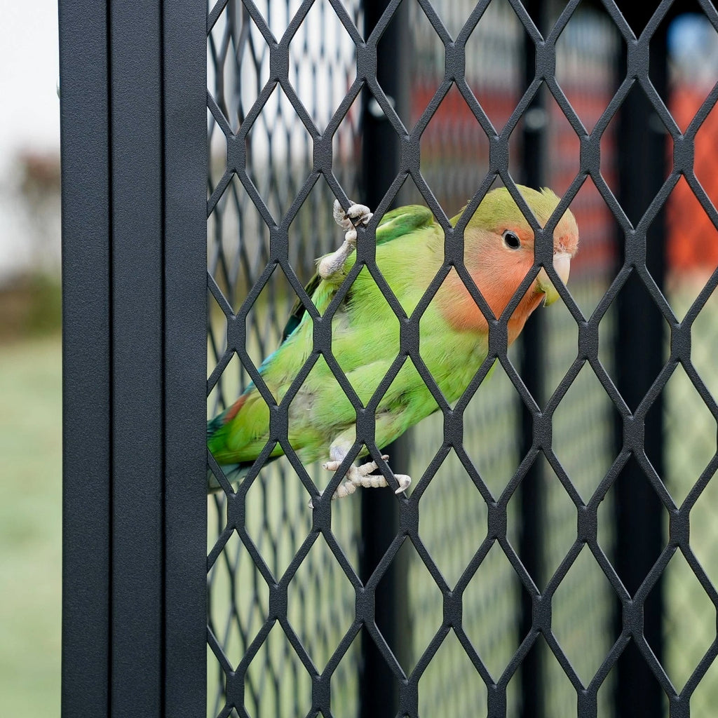 65" Heavy Duty Birdcage Aviary Large for Parakeet Macaw Parrot Budgies Lovebirds