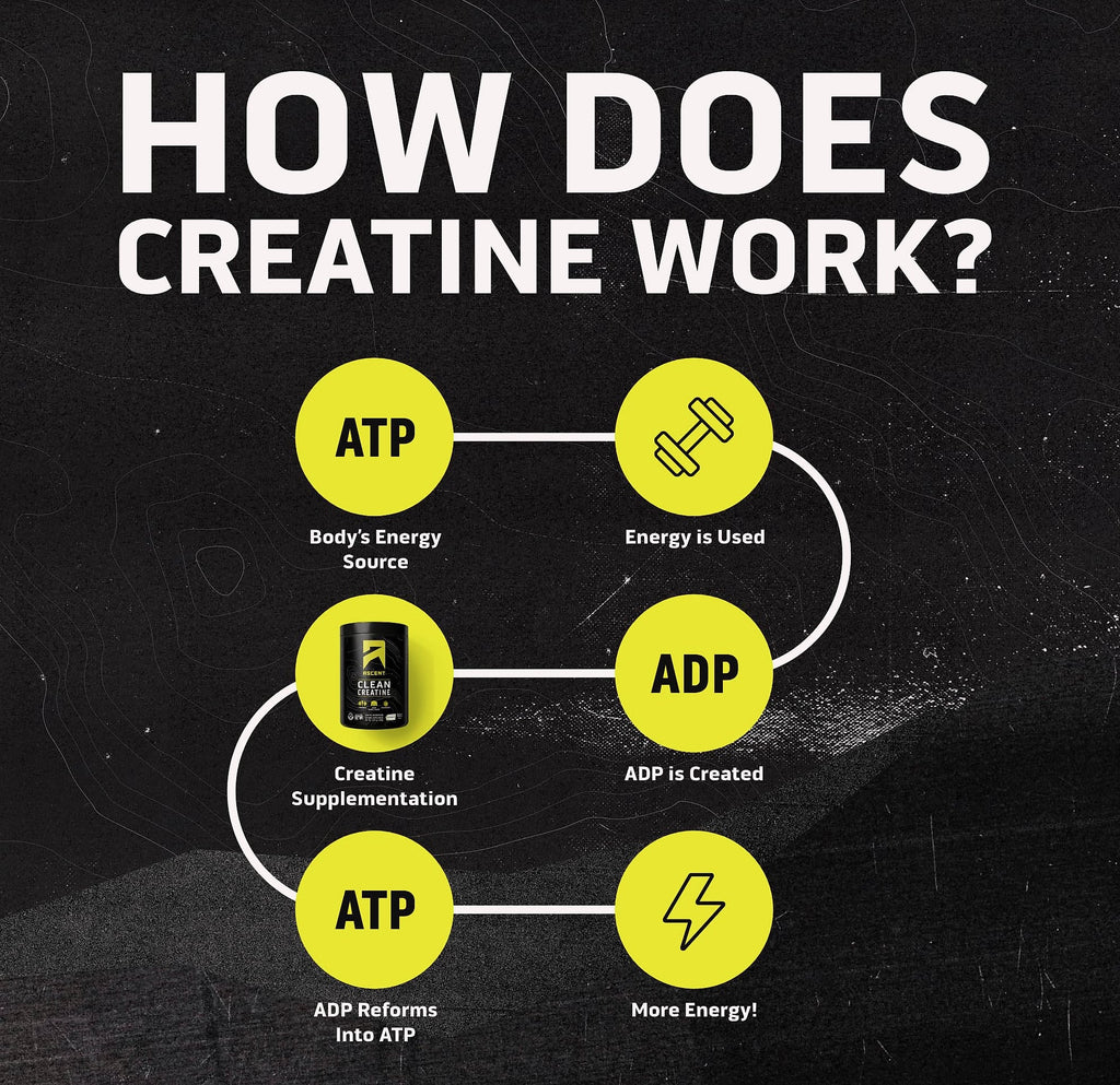 Ascent Clean Creatine Monohydrate Powder, 5G Per Serving