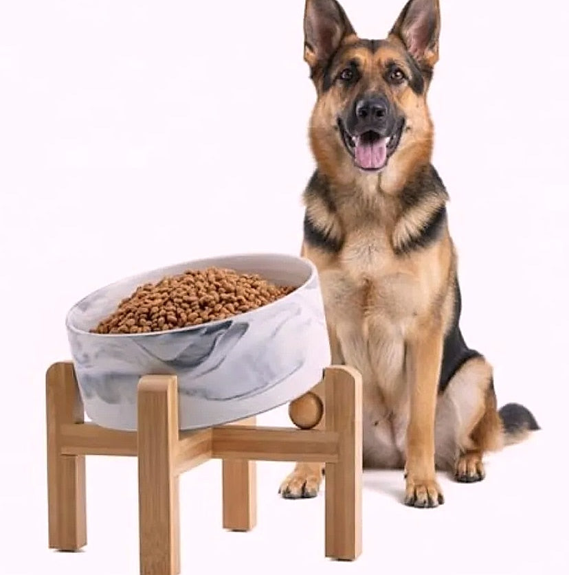 Elevated Ceramic Dog Bowl with Bamboo Stand 7.6-Cup Pet Feeder