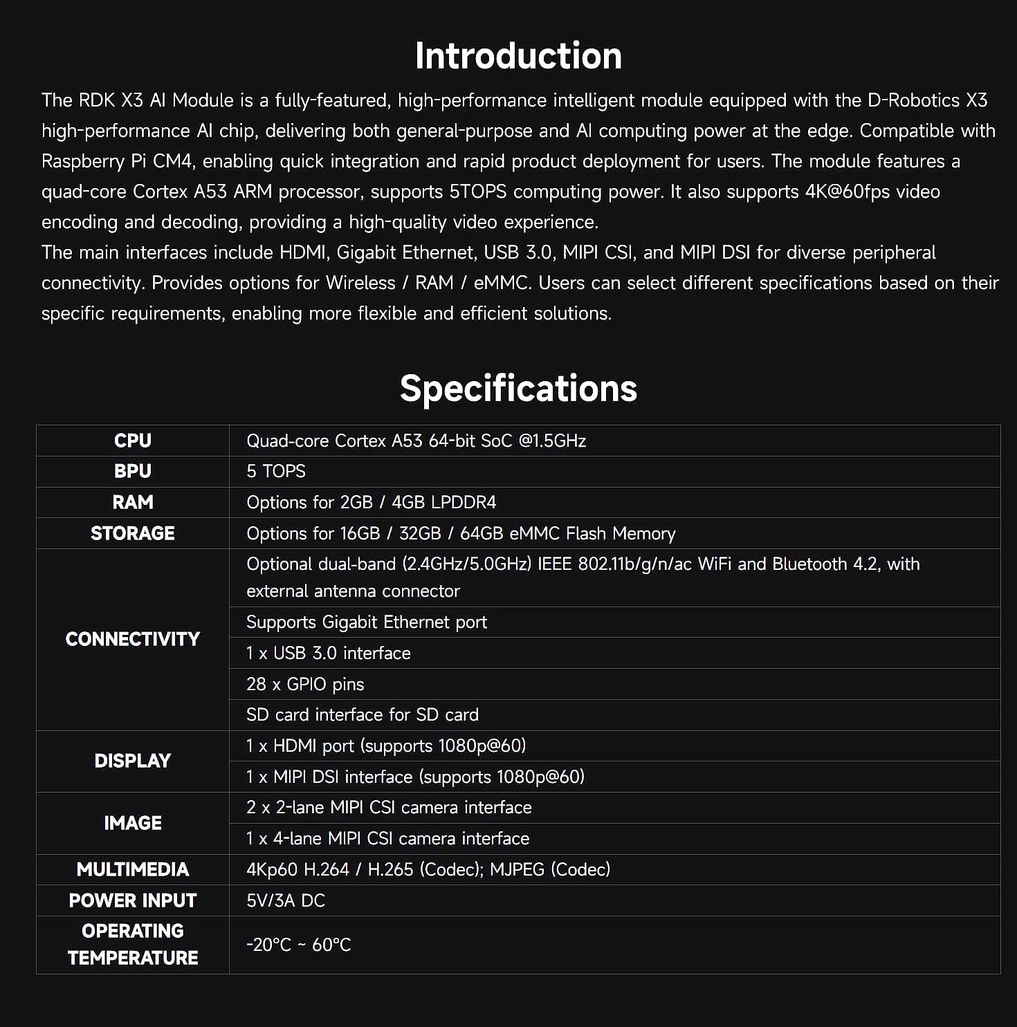 XYGStudy RDK X3 AI Module Kit for Raspberry Pi CM4