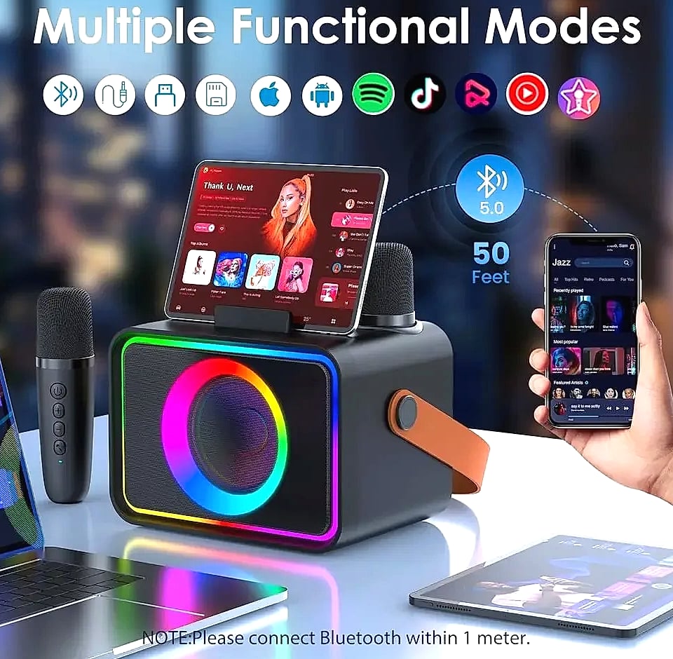 Portable Bluetooth Karaoke Speaker with 2 Wireless Microphones