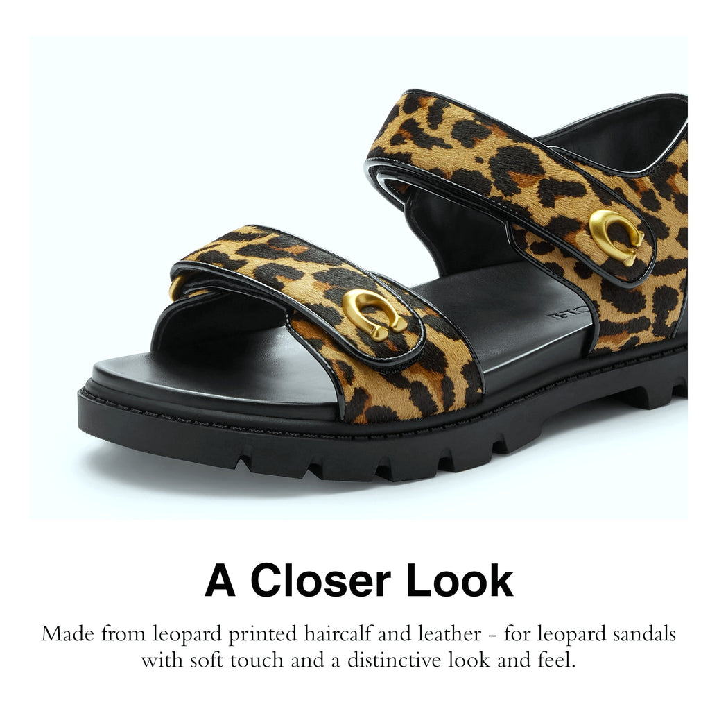 Coach Women's Brynn Shearling Sandal in Suede