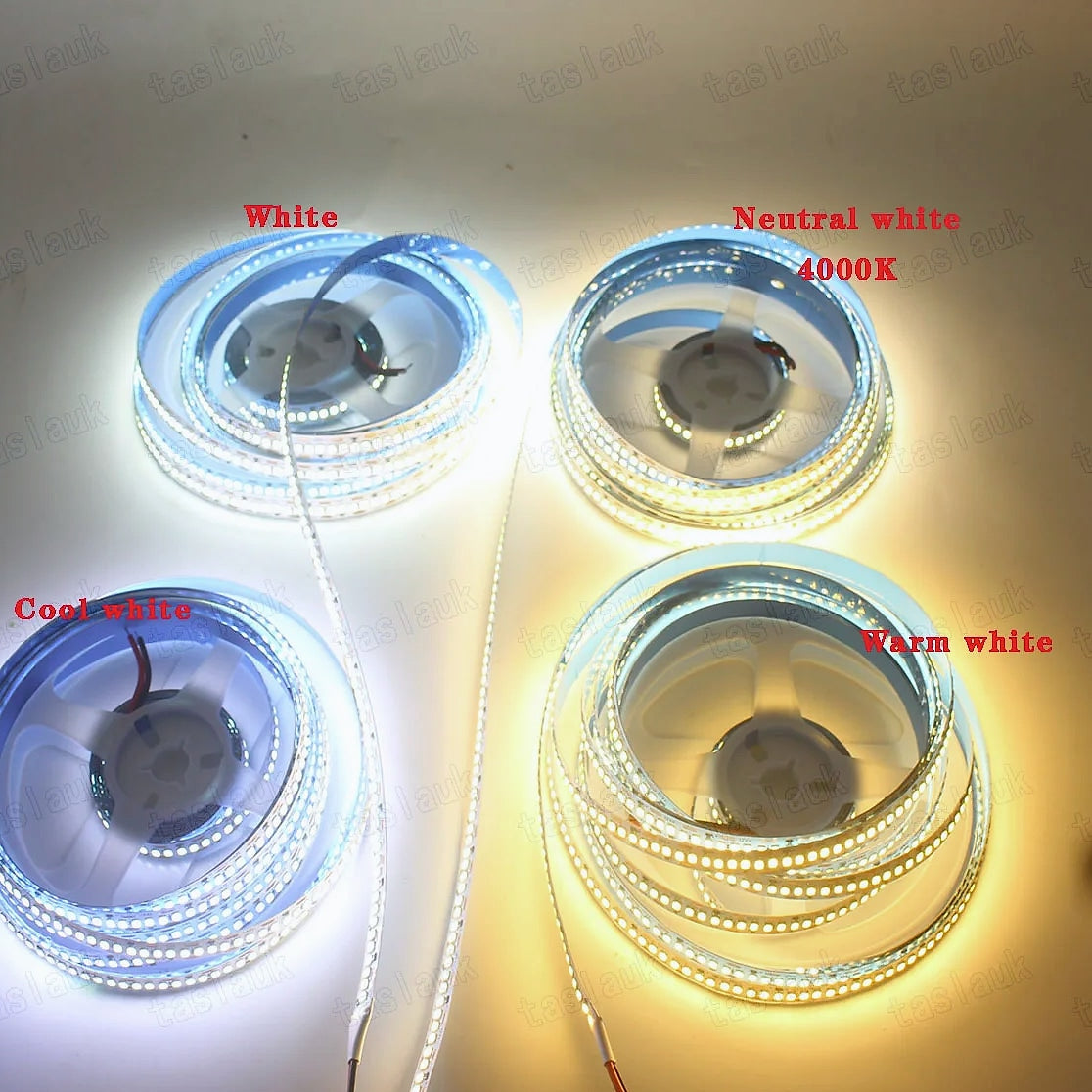 Taslauk 10mm PCB 2835 SMD LED Strip 240 leds/m 12V/24V