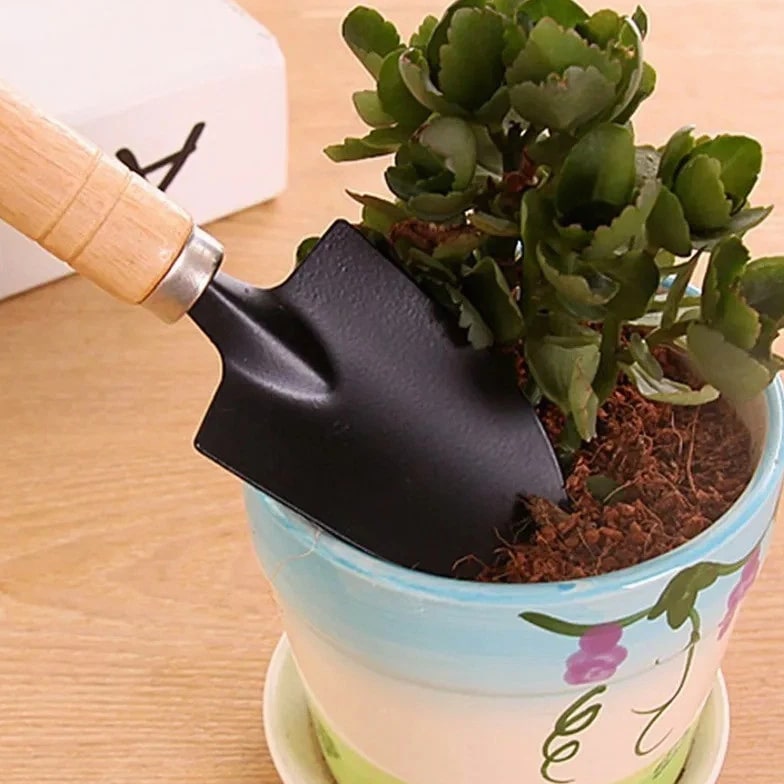3Pcs Mini Garden Tool Set Indoor Plant Tools Shovel Rake Spade for Potting