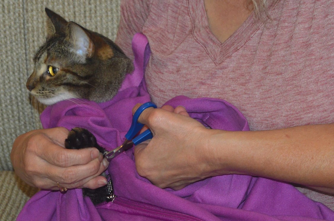 Cat-in-the-bag Cozy Comfort Carrier