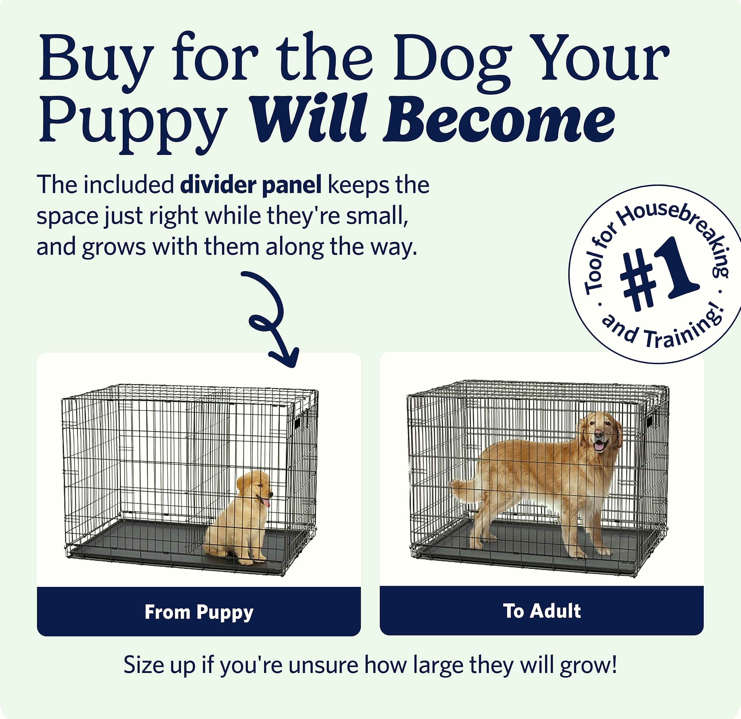 MidWest Homes for Pets 24-Inch Pink iCrate for Small Dogs