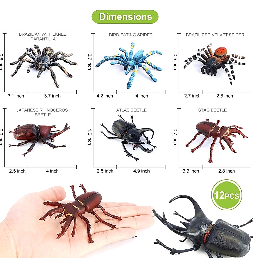 Volnau 12-Piece Insect Figure Set for Kids Educational Toys