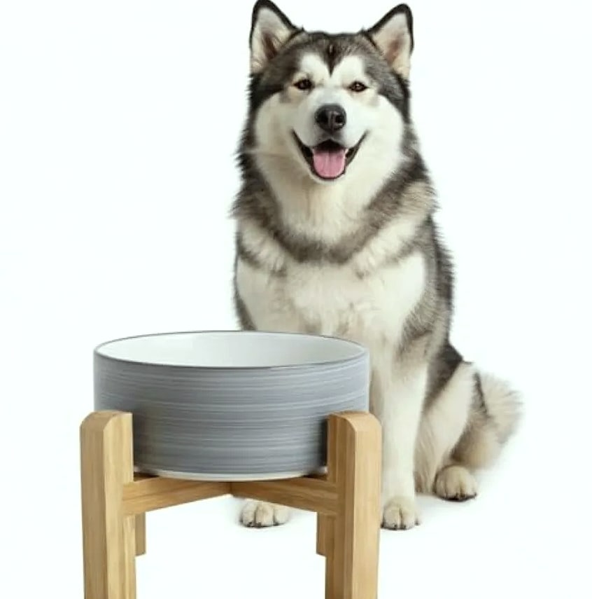Elevated Ceramic Dog Bowl with Bamboo Stand