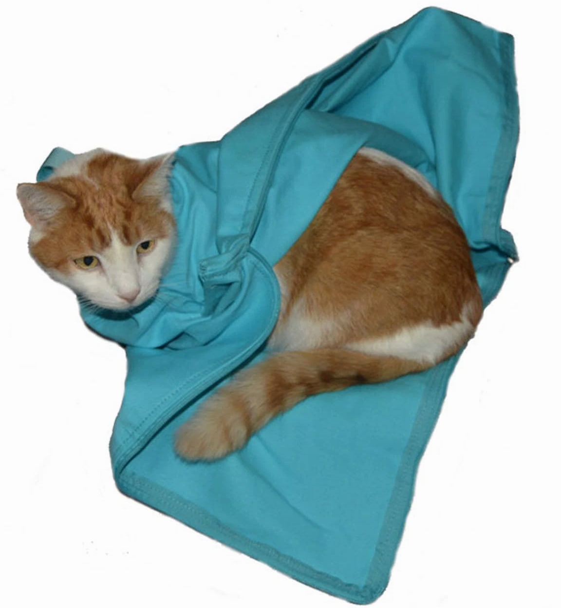 Cat-in-the-bag Cozy Comfort Carrier