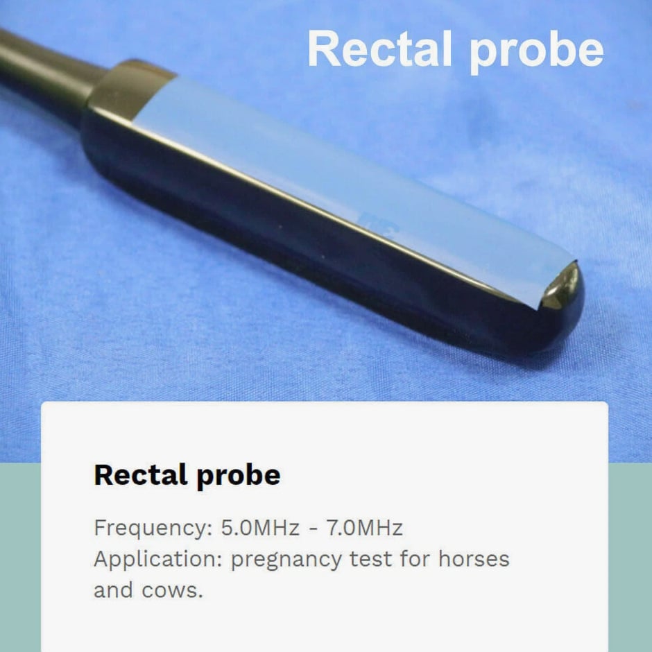 DAWEI Professional Veterinary Ultrasound Machine - Rectal Probe, Convex Probe