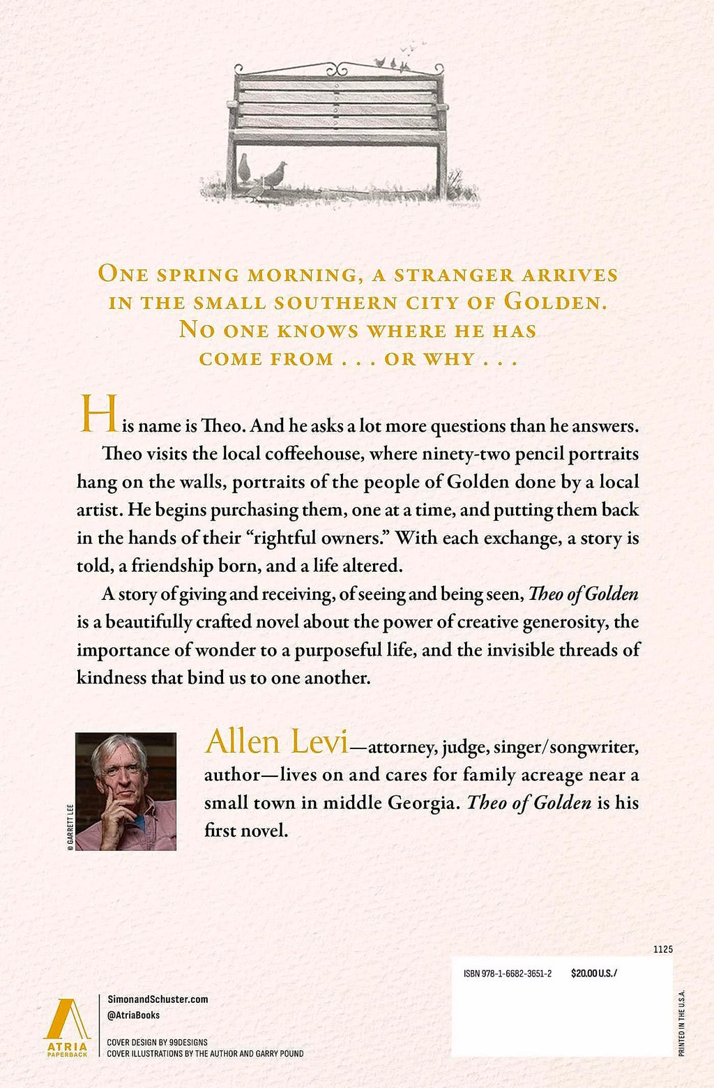 Theo of Golden by Allen Levi, Contemporary Fiction Novel