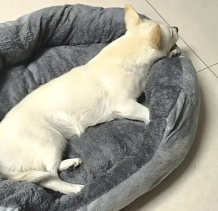 Soft Warm Dog Bed Basket for Medium Large Dogs Cat House