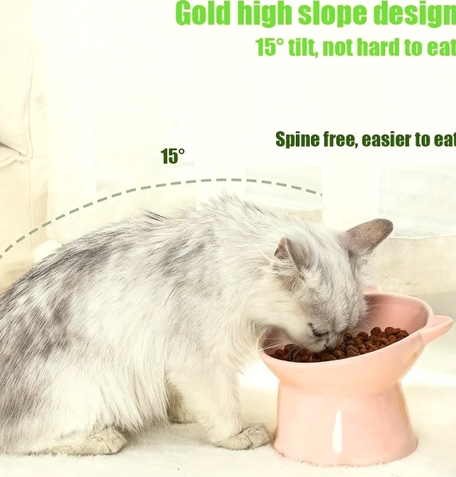 Novelty Moon Cat Ear Raised Pet Bowl Elevated Feeder