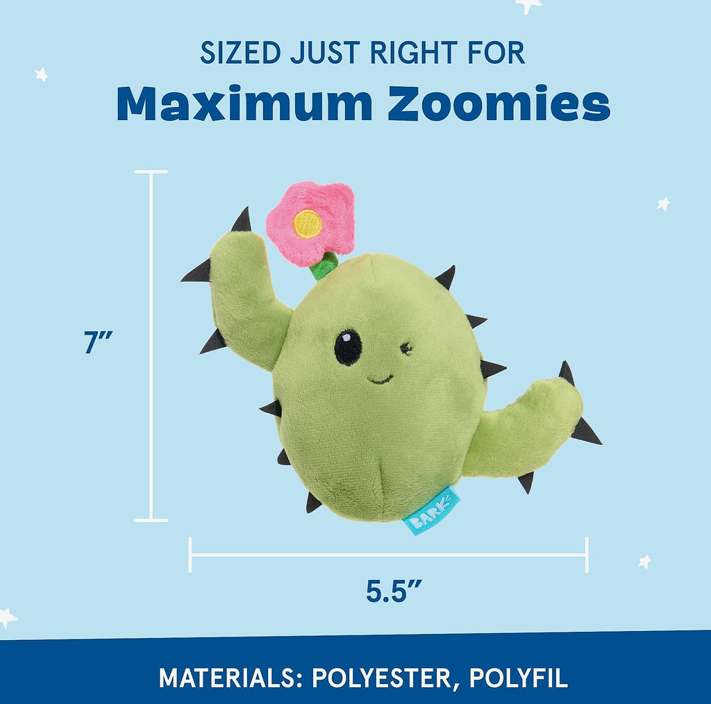 Barkbox Consuela the Cactus 2-in-1 Plush Dog Toy with Squeaker