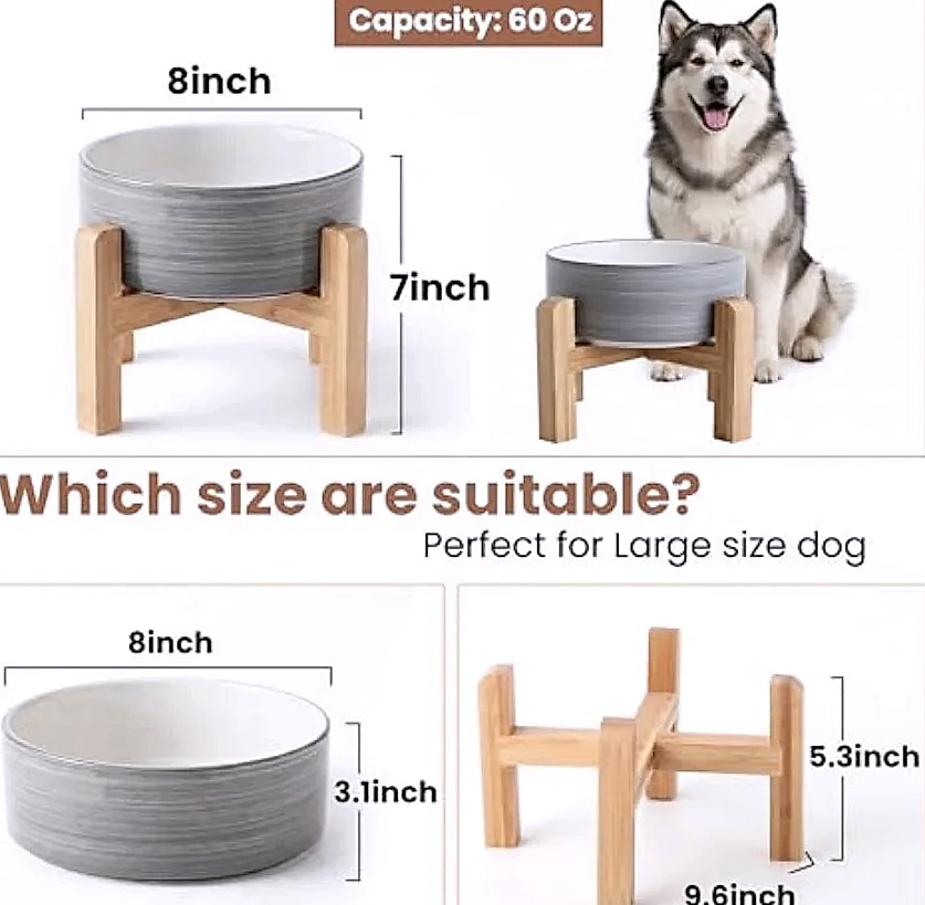 Elevated Ceramic Dog Bowl with Bamboo Stand